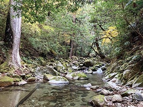 那智の滝 神秘ウォーク2